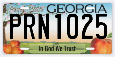 GA license plate PRN1025