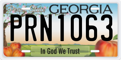 GA license plate PRN1063
