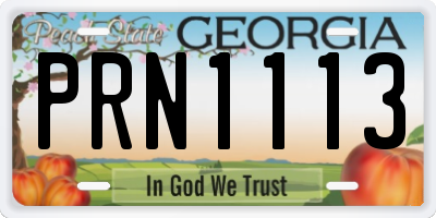 GA license plate PRN1113