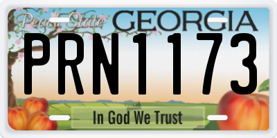 GA license plate PRN1173