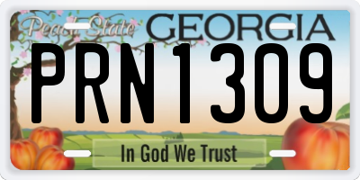 GA license plate PRN1309