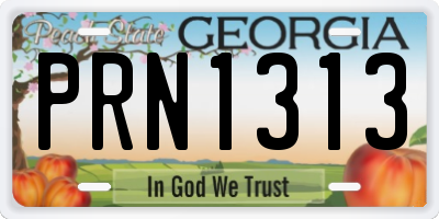 GA license plate PRN1313