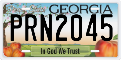 GA license plate PRN2045