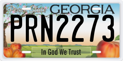 GA license plate PRN2273