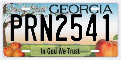GA license plate PRN2541
