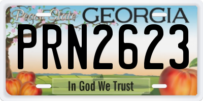 GA license plate PRN2623