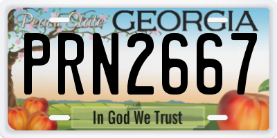 GA license plate PRN2667