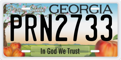 GA license plate PRN2733