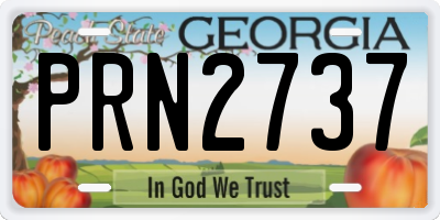 GA license plate PRN2737