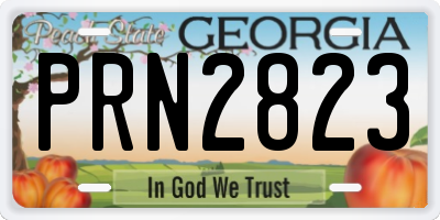GA license plate PRN2823