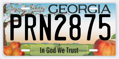 GA license plate PRN2875