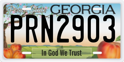 GA license plate PRN2903