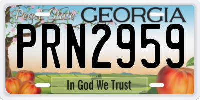 GA license plate PRN2959