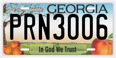 GA license plate PRN3006