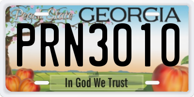 GA license plate PRN3010