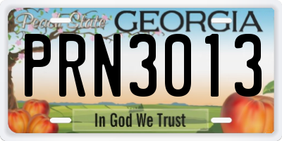 GA license plate PRN3013