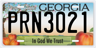 GA license plate PRN3021