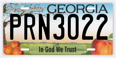 GA license plate PRN3022