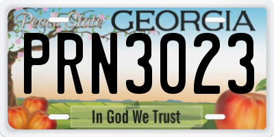GA license plate PRN3023