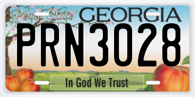 GA license plate PRN3028