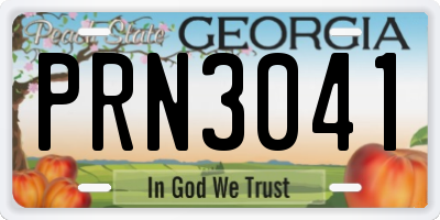 GA license plate PRN3041