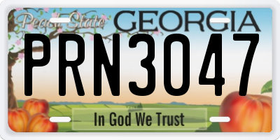GA license plate PRN3047