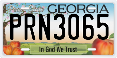 GA license plate PRN3065