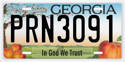 GA license plate PRN3091