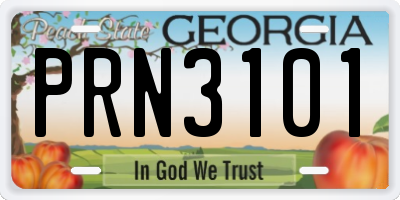 GA license plate PRN3101