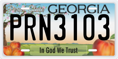 GA license plate PRN3103