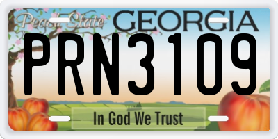 GA license plate PRN3109