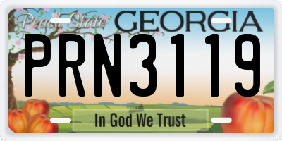 GA license plate PRN3119