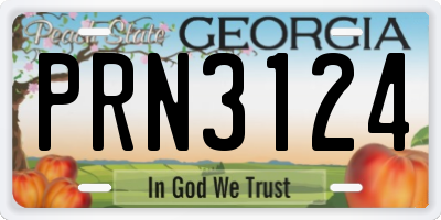 GA license plate PRN3124