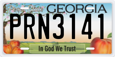 GA license plate PRN3141