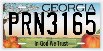 GA license plate PRN3165
