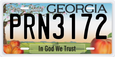 GA license plate PRN3172