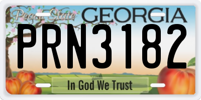 GA license plate PRN3182