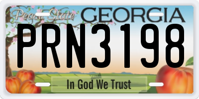 GA license plate PRN3198
