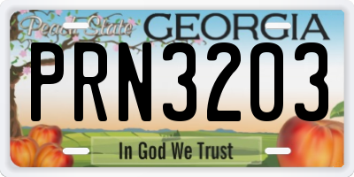 GA license plate PRN3203