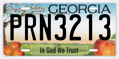 GA license plate PRN3213