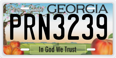 GA license plate PRN3239