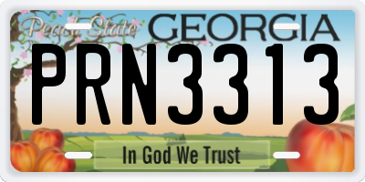 GA license plate PRN3313