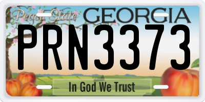 GA license plate PRN3373