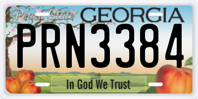 GA license plate PRN3384