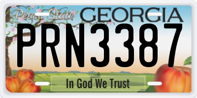 GA license plate PRN3387
