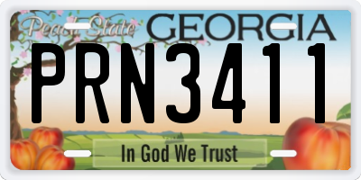 GA license plate PRN3411