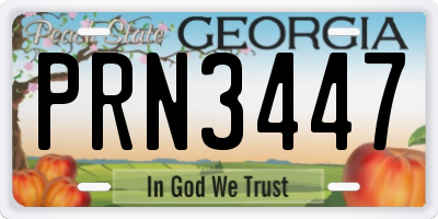 GA license plate PRN3447