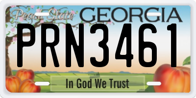 GA license plate PRN3461