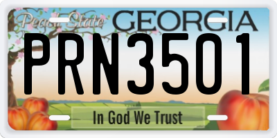 GA license plate PRN3501