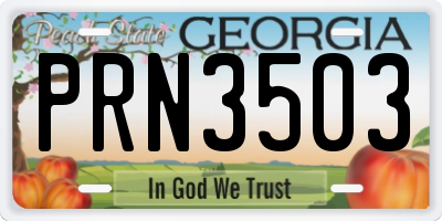 GA license plate PRN3503